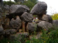 CIMG3283