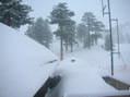 Etna 099